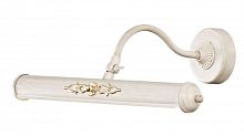 подсветка для картин st luce illuminazione sl574.501.02 в Костроме