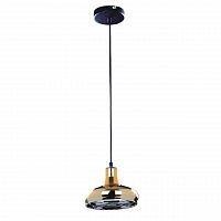 подвесной светильник spot light fiji 9704112 в Костроме
