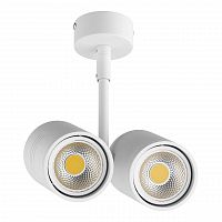 потолочный светильник lightstar rullo 214446 в Костроме