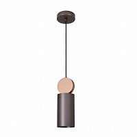 подвесной светильник favourite otium 2215-1p в Костроме