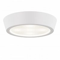 потолочный светодиодный светильник lightstar urbano 214904 в Костроме