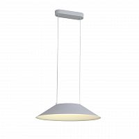 подвесной светодиодный светильник st luce pitto sl427.513.01 в Костроме