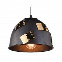 подвесной светильник arte lamp eurica a6023sp-1bk в Костроме