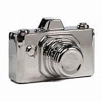 предмет декора camera серебряная в Костроме
