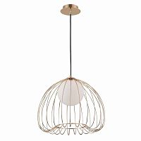 подвесной светильник maytoni polly mod543pl-01g в Костроме