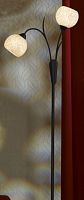 торшер lussole bagheria lsf-6295-02 в Костроме