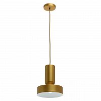 подвесной светильник mw-light элвис 1 715010201 в Костроме