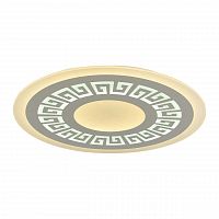 потолочный светодиодный светильник f-promo ledolution 2273-8c в Костроме