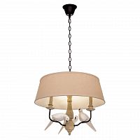 подвесная люстра loft it loft1029a-2 в Костроме