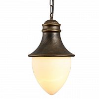 уличный подвесной светильник arte lamp vienna a1317so-1bn в Костроме