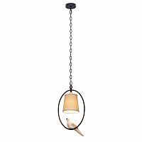 подвесной светильник loft it loft1029a-1 в Костроме
