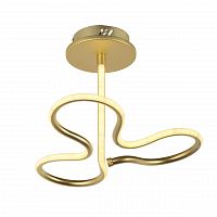потолочный светодиодный светильник arti lampadari angelo l 1.2.35.03 g в Костроме