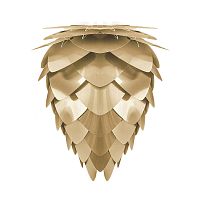 плафон conia brushed brass в Костроме