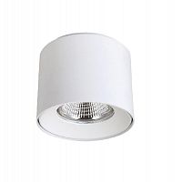 потолочный светодиодный светильник crystal lux clt 522c117 wh в Костроме