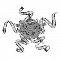 бра lightstar spider 742654 в Костроме