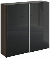 шкаф-купе slide 1700 черный в Костроме