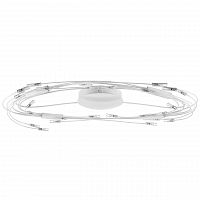 потолочный светильник lightstar ovale 784246 в Костроме