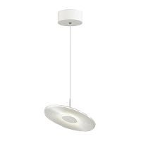 подвесной светодиодный светильник odeon light ellen 4107/12l в Костроме