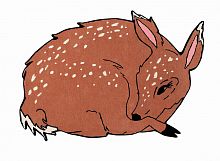 ковер шерстяной олененок the deer в Костроме