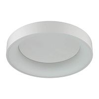 потолочный светодиодный светильник odeon light sole 4062/50cl в Костроме