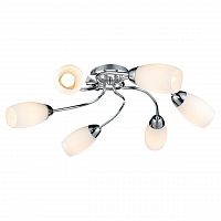 потолочная люстра lussole lgo lsp-0133 в Костроме